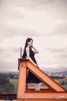 树影迷宫电视剧免费播放